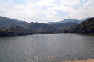 长春水库爆料视频最新版,揭秘惊人真相与惊人内幕